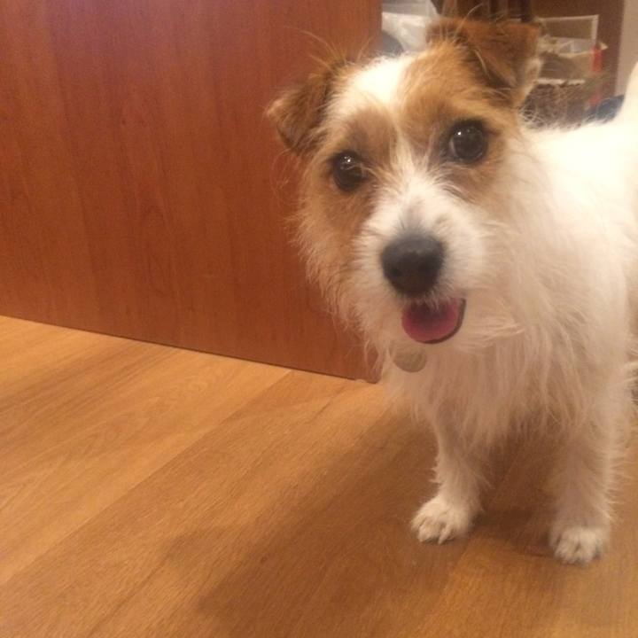 544a567e 5406 4cd3 b25d dd1efdabb4c2