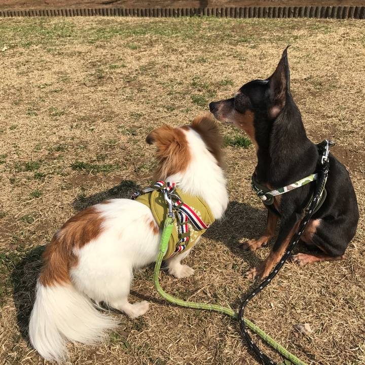 544abdb5 70bb 4e6f 9e52 c08eb2700bfc