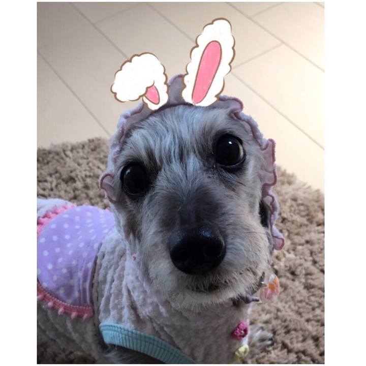 544bb9f8 c5ed 4b02 879d 51ea8c941e50