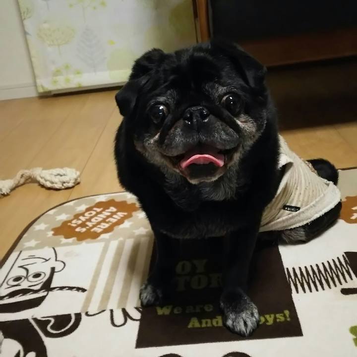 544da140 7544 4238 aa4f 410fa963822a