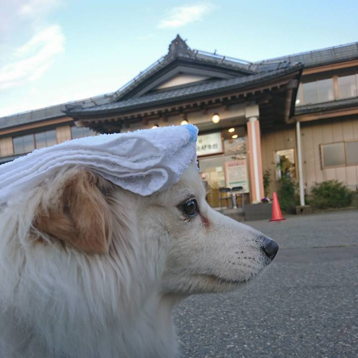 544f8489 14a1 4011 8b58 cecd0e71f06d