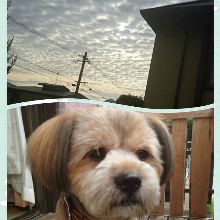 544fc596 a6cc 4434 a455 9b451fb7153a