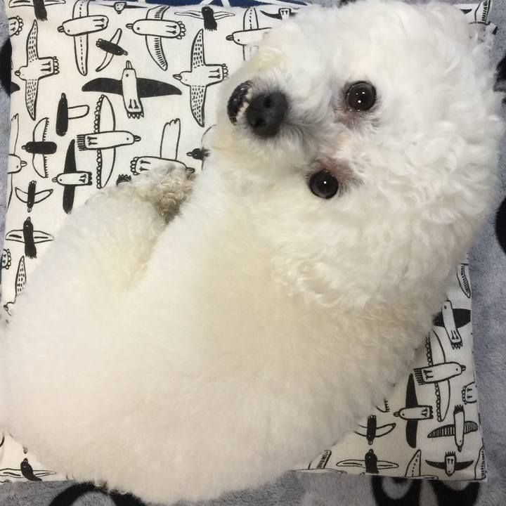 545040f6 47ab 4a4b 9a95 bc8ca56ab634