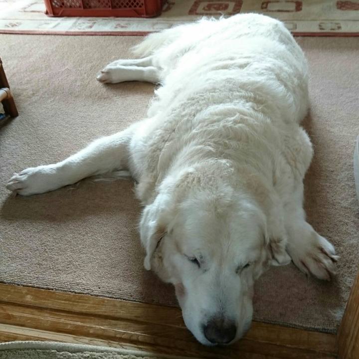 54509178 7afc 4bb1 893b 5ec056dea442