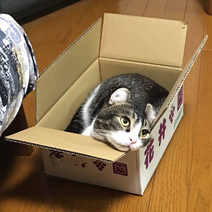 5450ff1a e1a7 4936 adb1 06ae9f7429a6