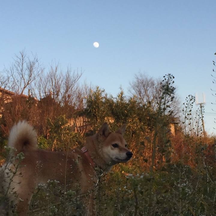 545134c1 277c 4c93 a667 5ba9785cf8a6