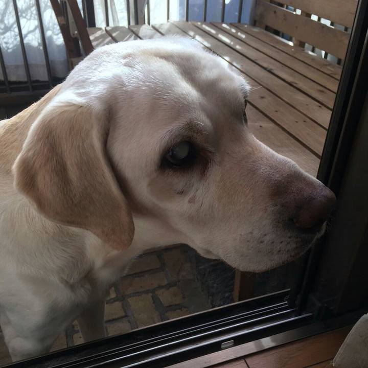 54516b20 60c9 4728 a54a 66eadfdbcf5c