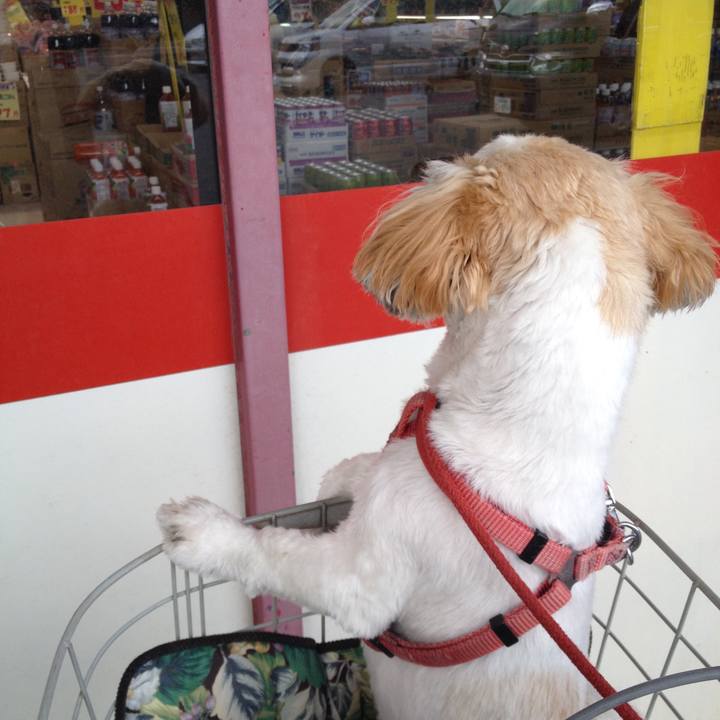 54520256 7e92 465b b5ea 240045c0f757