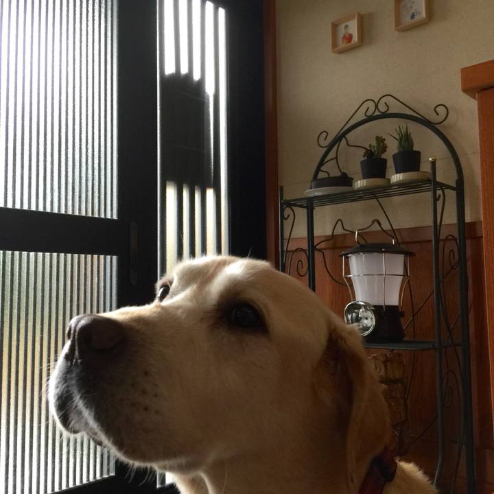 5452241d 2787 4fbc bb94 532eba68bc49