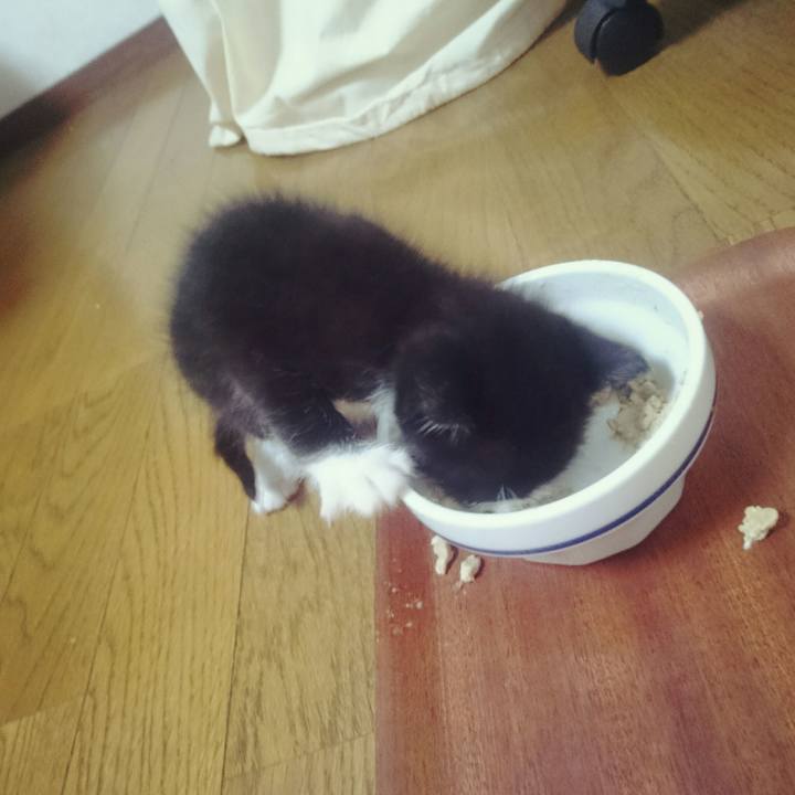 5452bc04 98d7 429c a9bf a489714b84dc