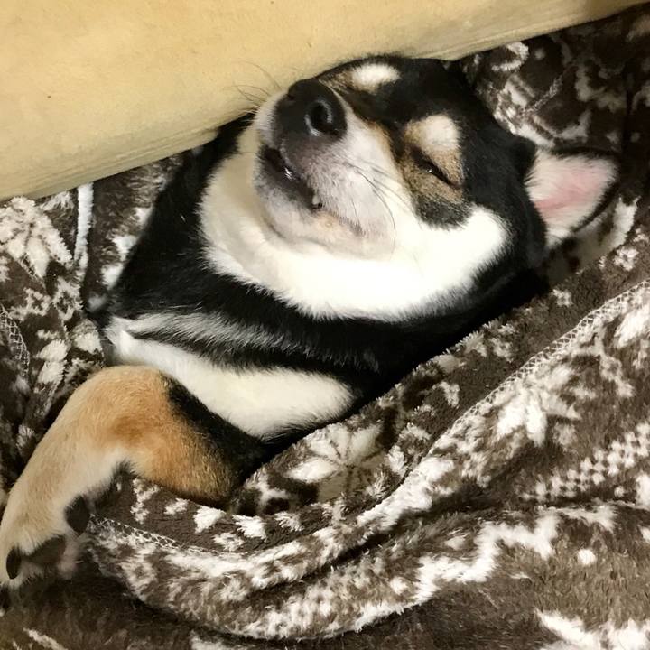 54536691 c982 4c29 9c1f 379207862b43