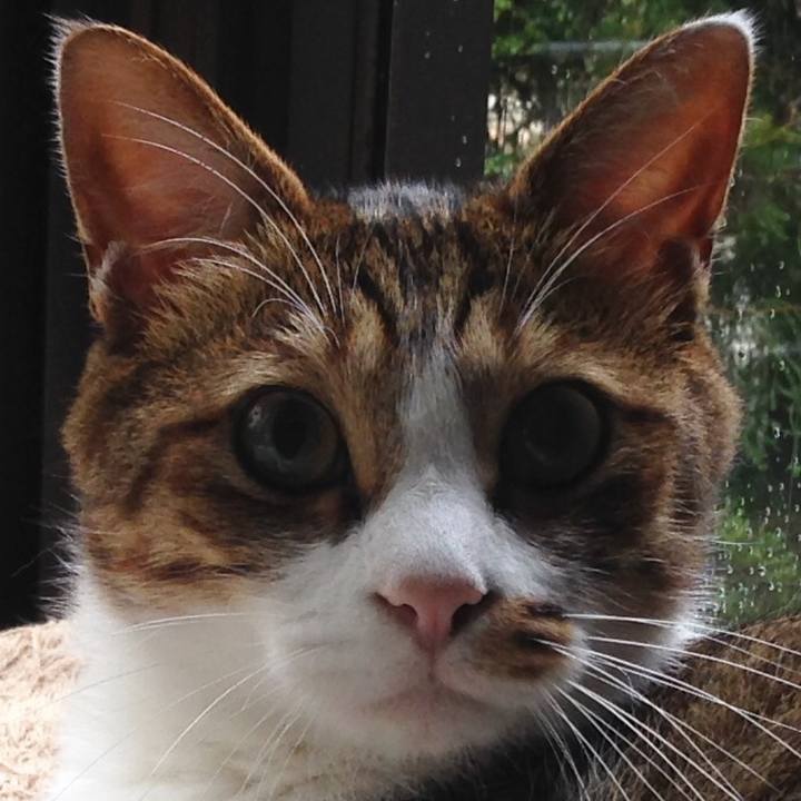 5453c207 1365 4564 addf 0c5b8ef5da3f