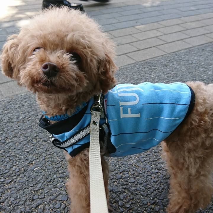 545549be 9191 414e 99e1 b8216e1ff28f