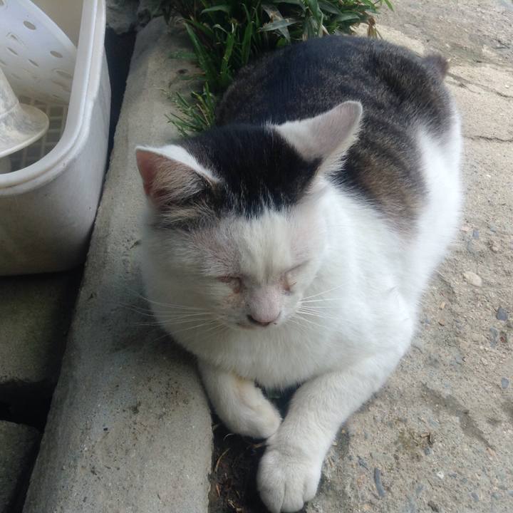 545562ee c73b 486f a226 edd831c34503