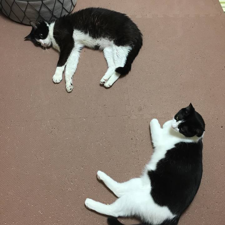 54557b3c 5446 44f0 8e88 aea7d2ed006a