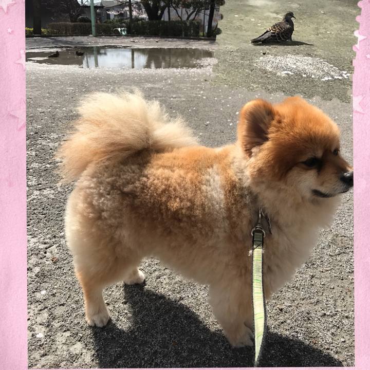 5455add4 6dae 4773 860c 9e6e8defb188