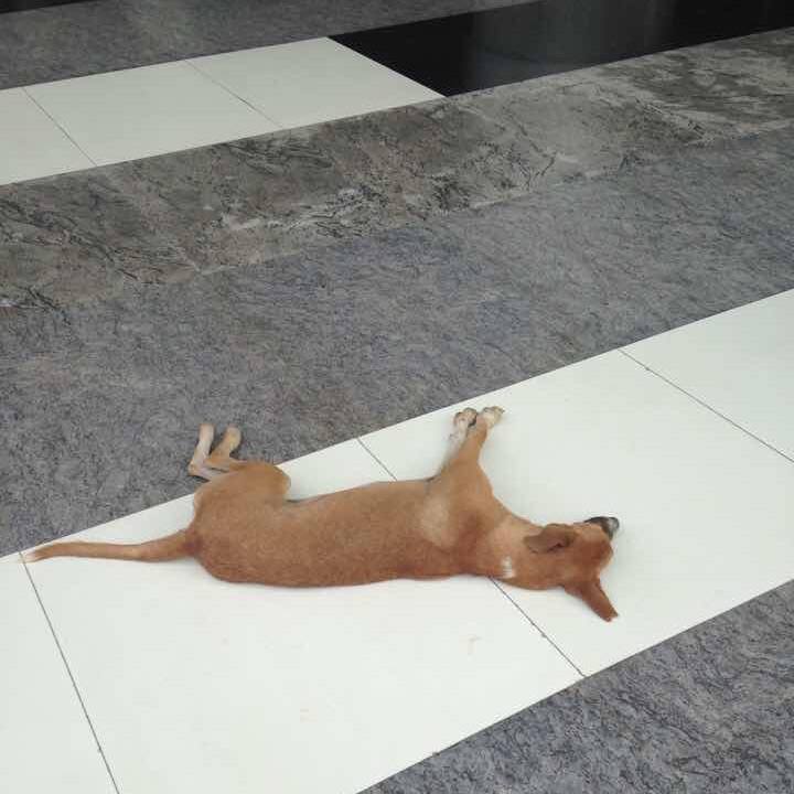 54566dcf 6659 4e39 9e24 f3fd1fe65f30