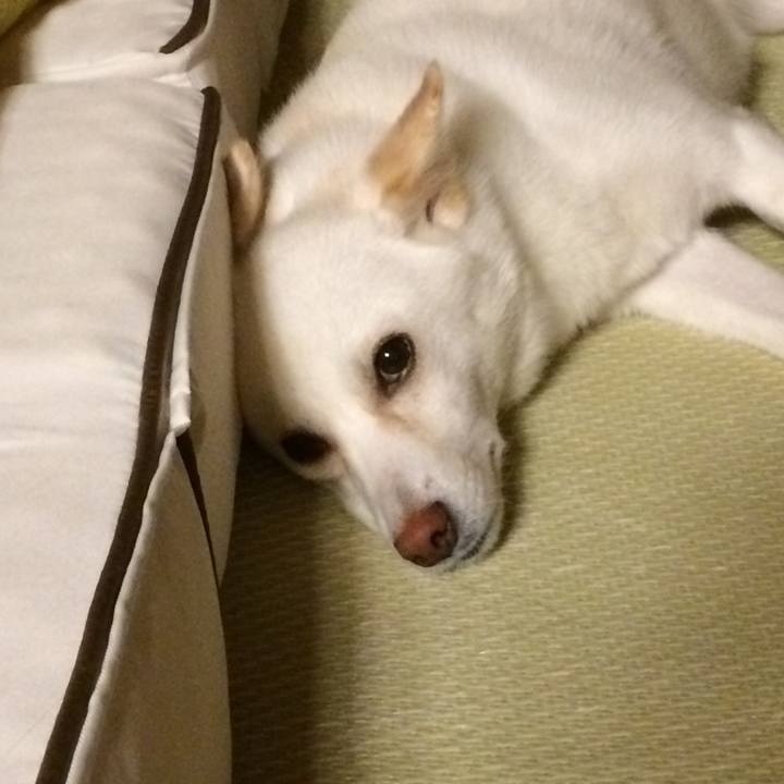 5456ef0e 5db6 42f2 80f8 6890e15f4418