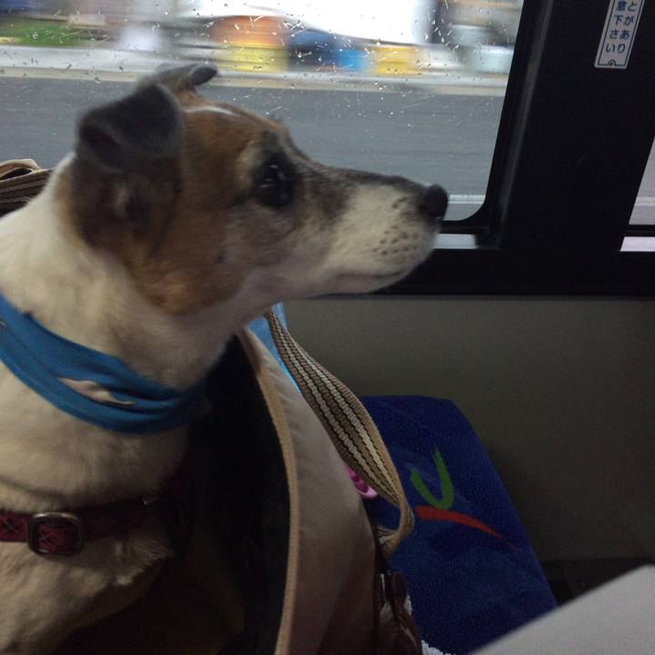 54574a9e 68b4 4285 a453 6e79962e9e32