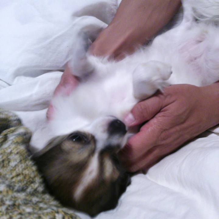 545791ae 1ba5 423e bde7 a2037b23208e