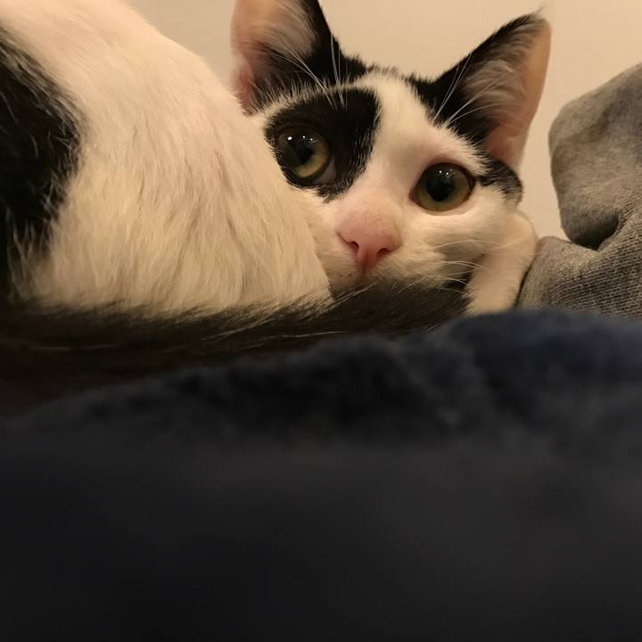 5457b2e6 fc70 4233 ba25 fd60574b2ace