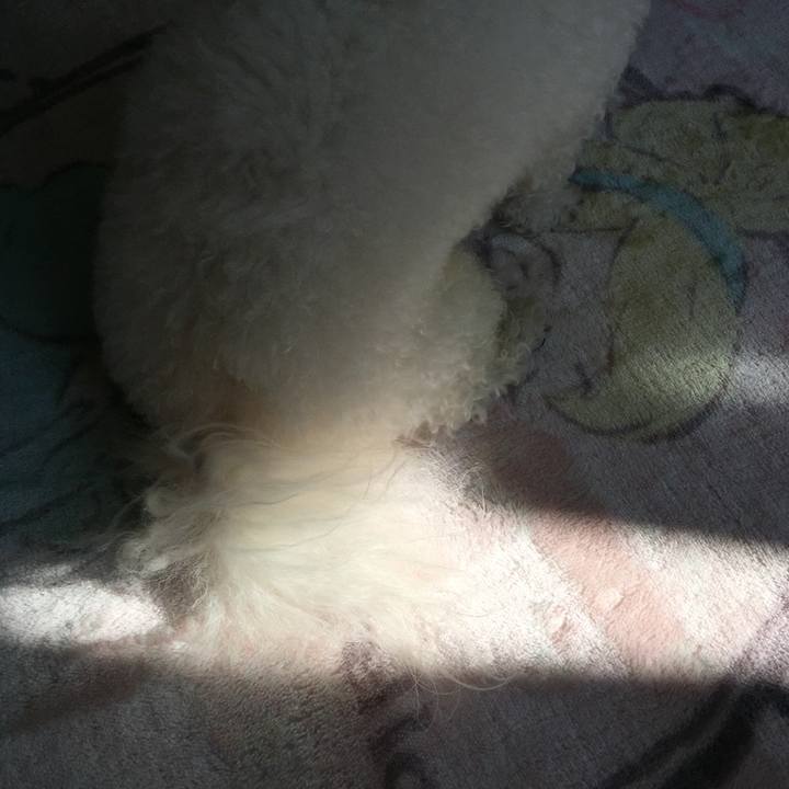 5457cac4 00ec 4f83 9e0f ce65398f21a1