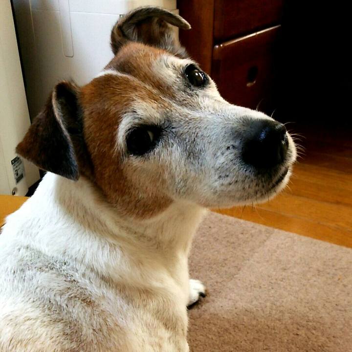 5457ec3e 4222 4c28 a925 c442865a6531