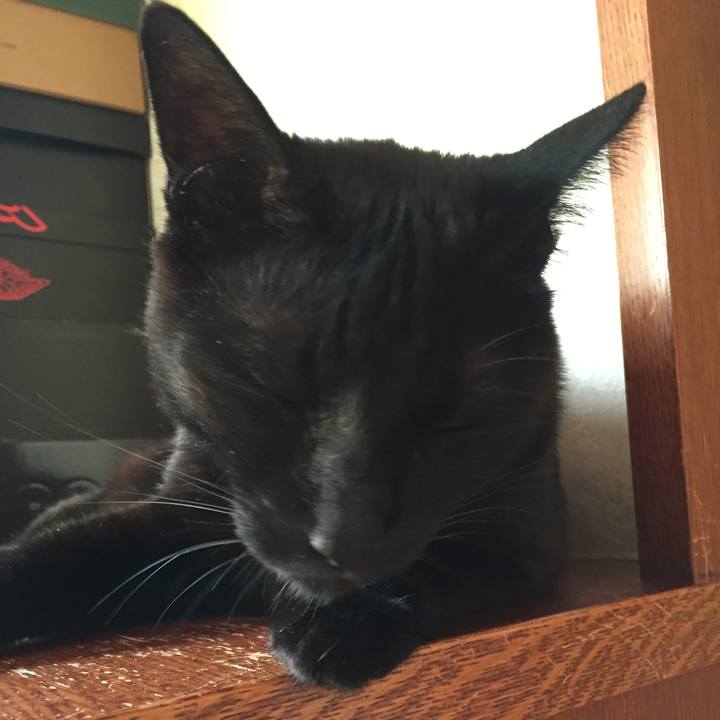 54585890 7b6b 4541 a9bb 2c3f6b7fdd48