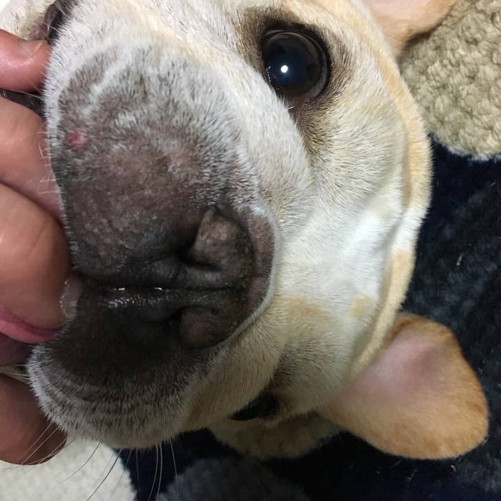 54585a19 3193 4861 8f7f 7fcc9b9d5237