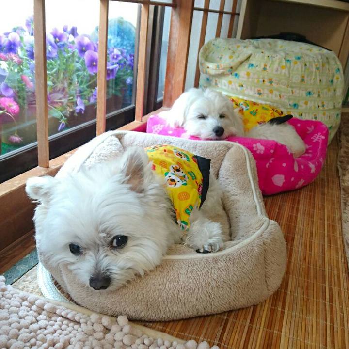 54585d91 3fd0 4cba b70c c121c1219d0a