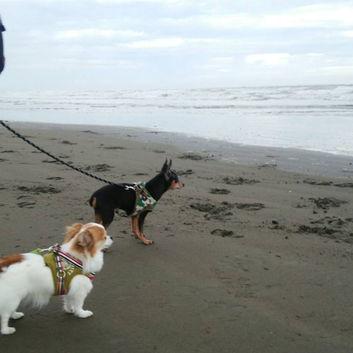 5458d953 6dbc 4847 ae33 9c2a2f3b571e