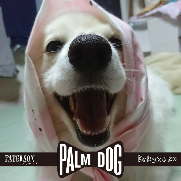 54595c55 3220 460e a8b9 38158d77dce0