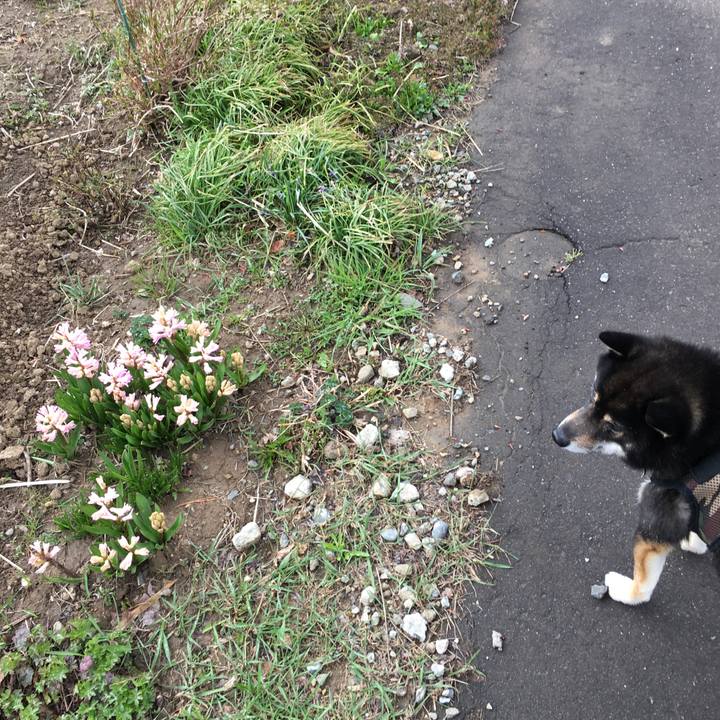 5459d6d2 1326 4043 99a1 a220a94fd3f8