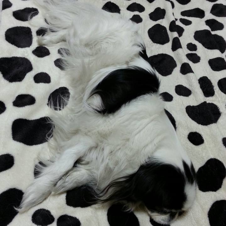 545ae5a2 bf97 428d 998e 0285238202e5