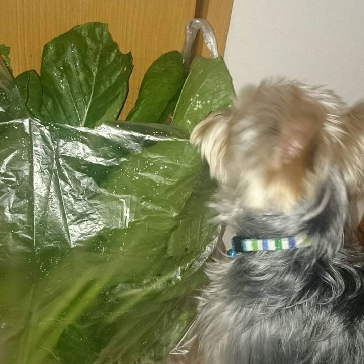 545b05c5 e34a 4a6a 961b 26b57f171e4a