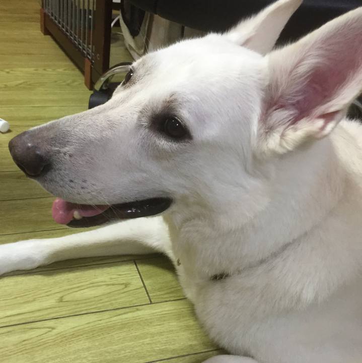 545b1a3e dd43 4bf4 a1c3 fdb8cad83901