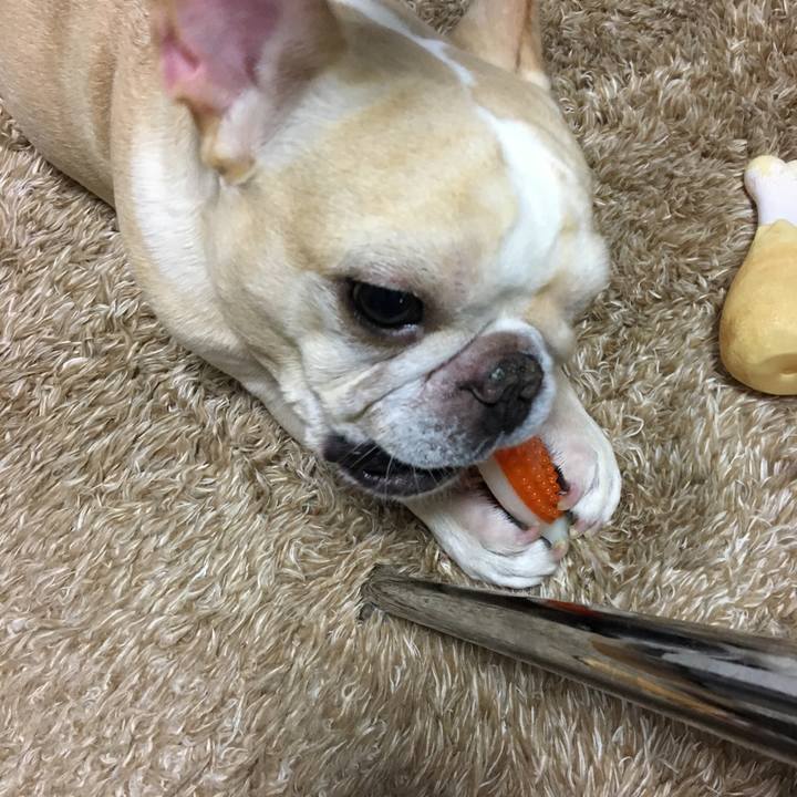 545b6459 1acd 40e9 9dfb af9cb97572bc