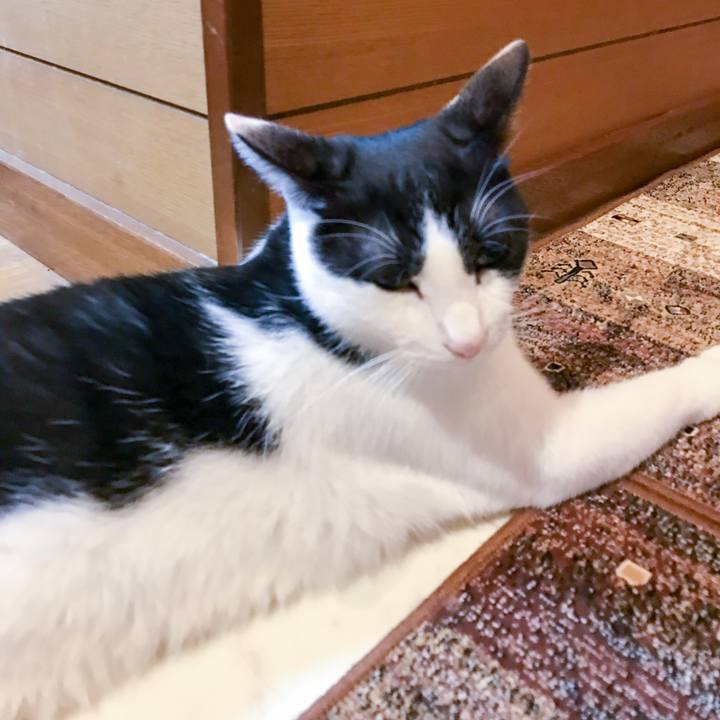 545c35ef 6c31 428c 98ce 77e78fe1b1e1