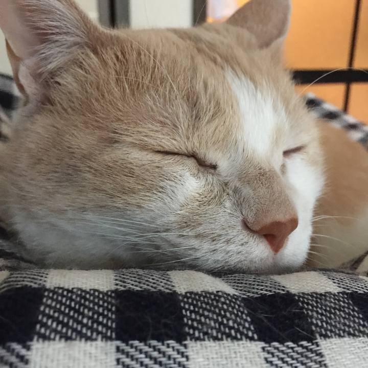 545cc7ae fb43 46e7 a32f c4f11751d59e