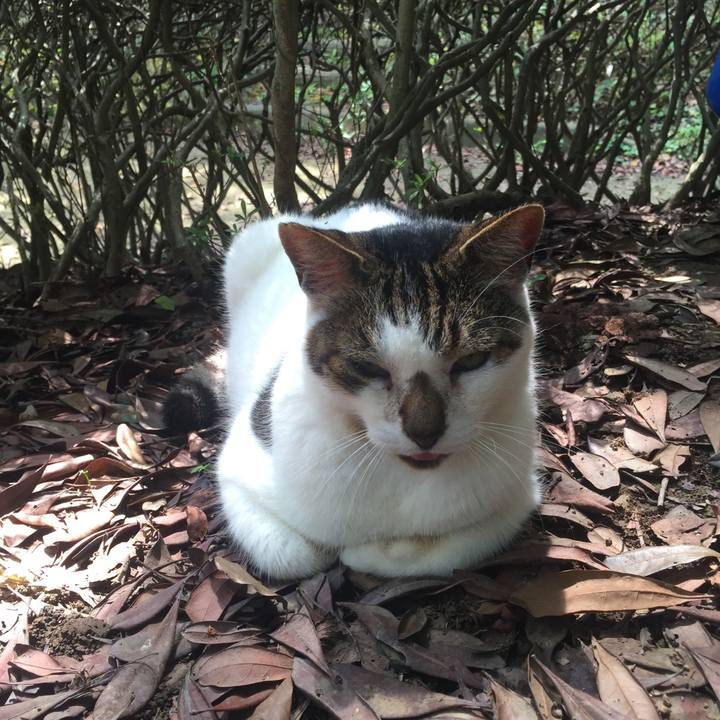 545d0411 d2f1 4fe0 ae5b e0b55ba251b8