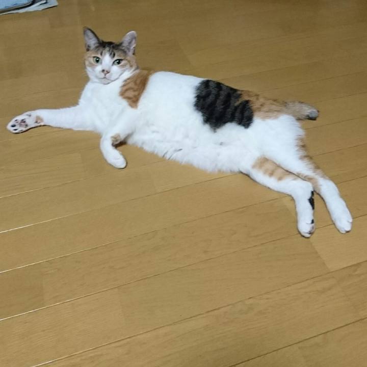 545d4970 8c18 4364 871e 41e037c0c24d