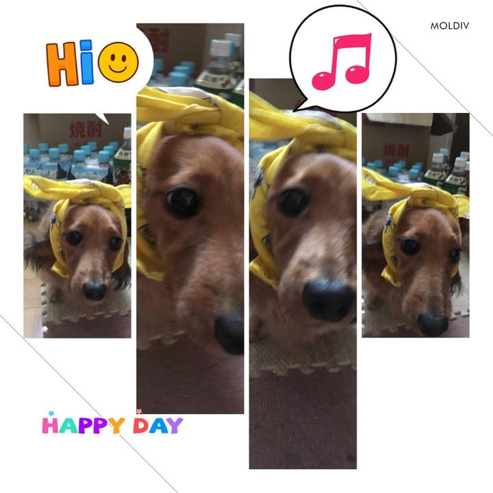 545d5df2 8585 43c6 83e1 f2a10888d408