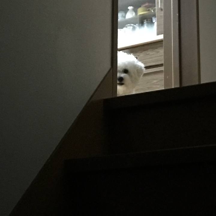 545d9113 05af 4a7d 9c91 0adb734421a3