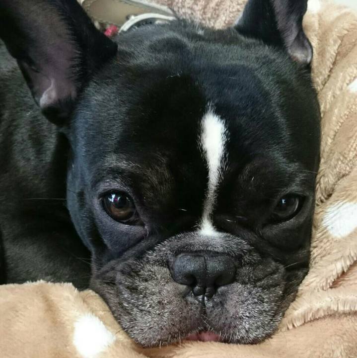 545dece5 1502 4fdd ac5e 95f6f2fa8aa9