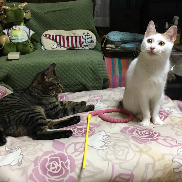 545ebaaf 7433 475b 8fa6 082d66d62e76