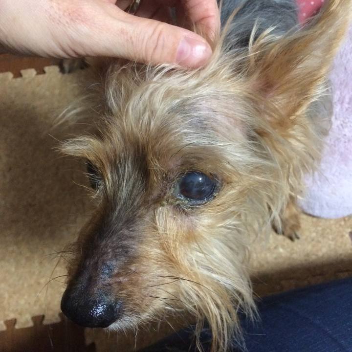 545ec5c4 4aa3 4d8f ad89 554c52bf880c