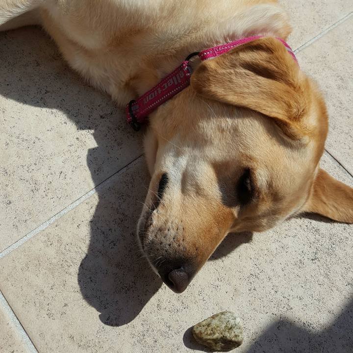 545f353b 6103 4314 820a 5a2c37c8c763