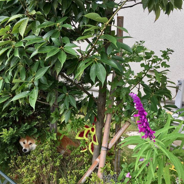 545fc6a8 14fb 4864 adf6 5d08b7a2d600