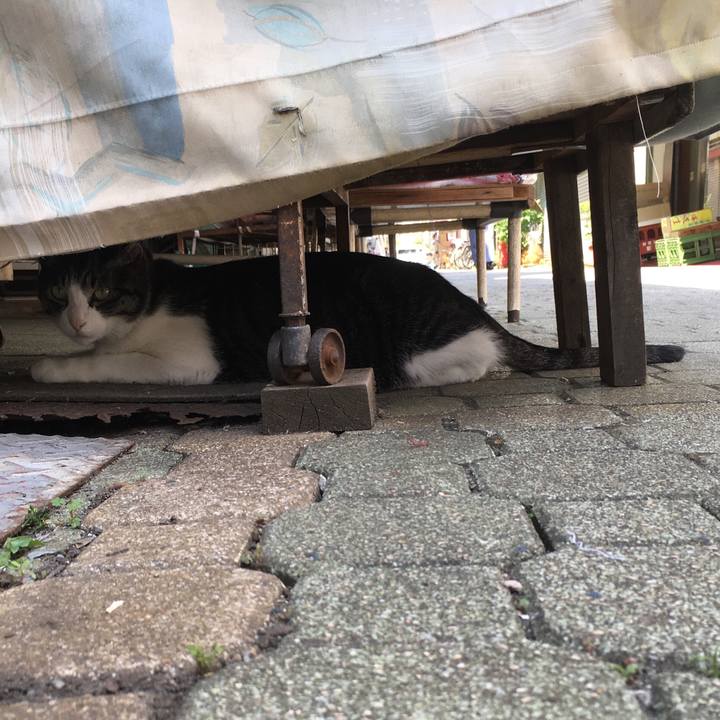 5460feb3 dec0 4c8d 9113 22a23c8abf68