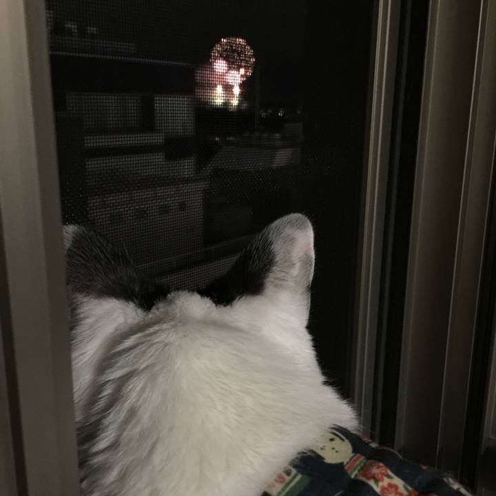 5461195d dba8 464b 8fd5 341ffc339b0e